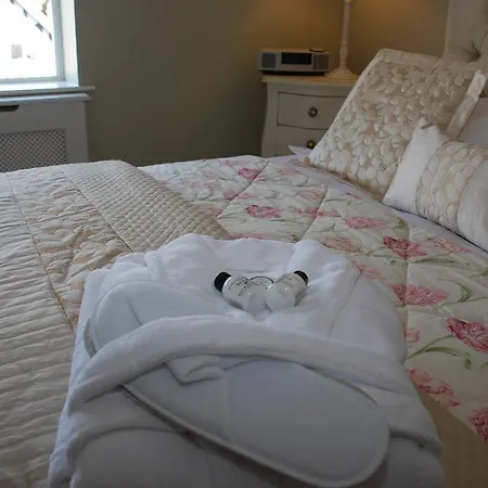 Springdale Guest house *