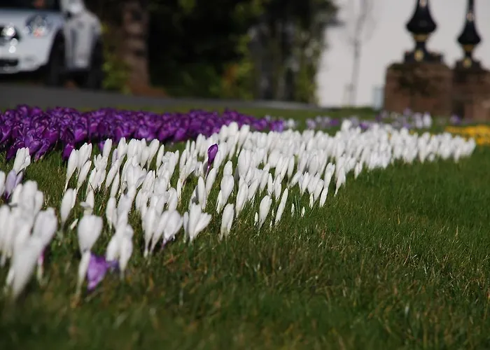 בית הארחה Springdale 3*