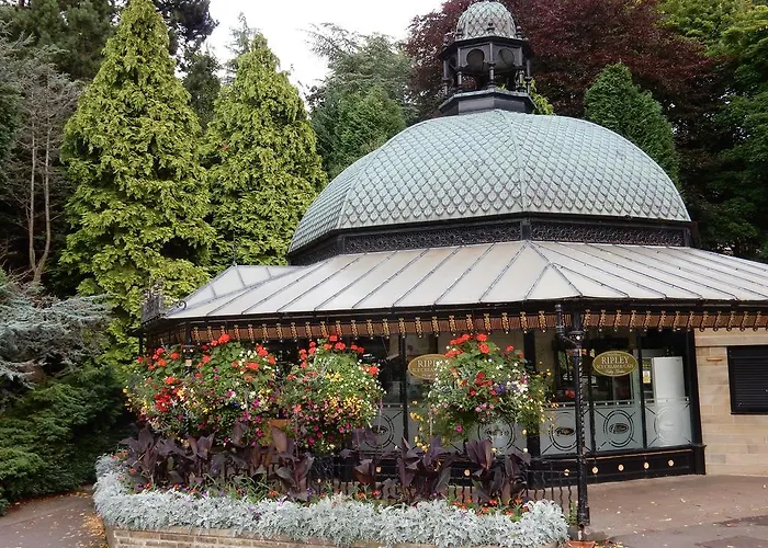 Springdale Guest house