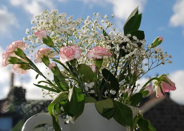 Springdale Harrogate