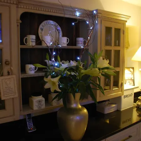 Affittacamere Springdale 3*